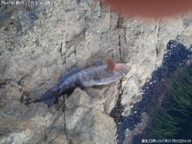 �����ʥ�