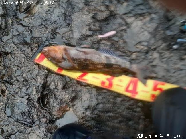 �����ʥ�