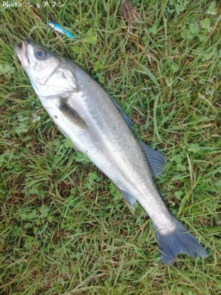 �����Х�