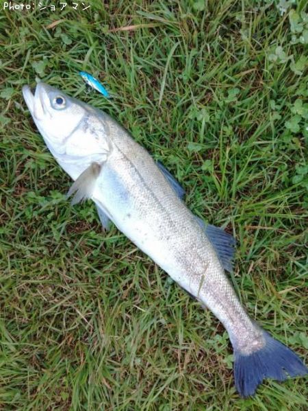 �����Х�