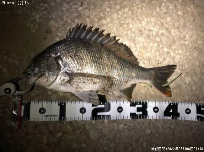 ���ӥ졢�ޥ���