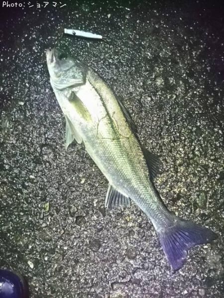 �����Х�