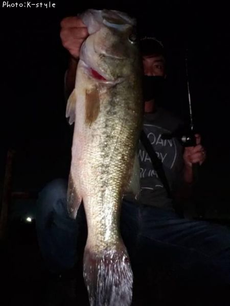 �֥�å��Х�