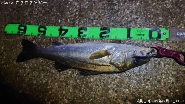 �����Х�