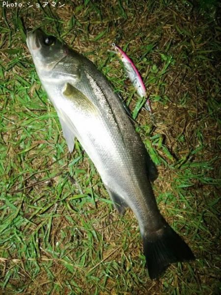 �����Х�