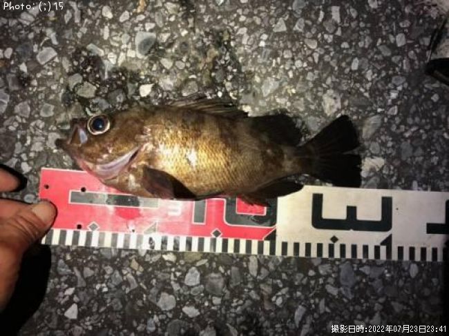 ��Х롢���������������������᥸��