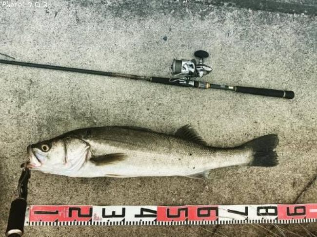 �����Х�