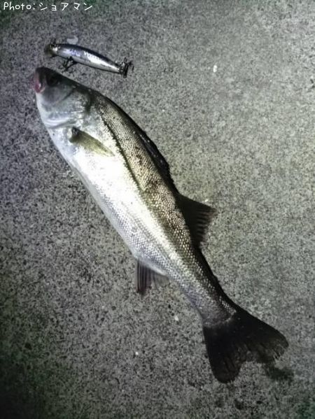 �����Х�