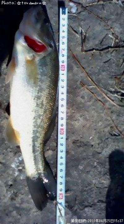 �֥�å��Х�