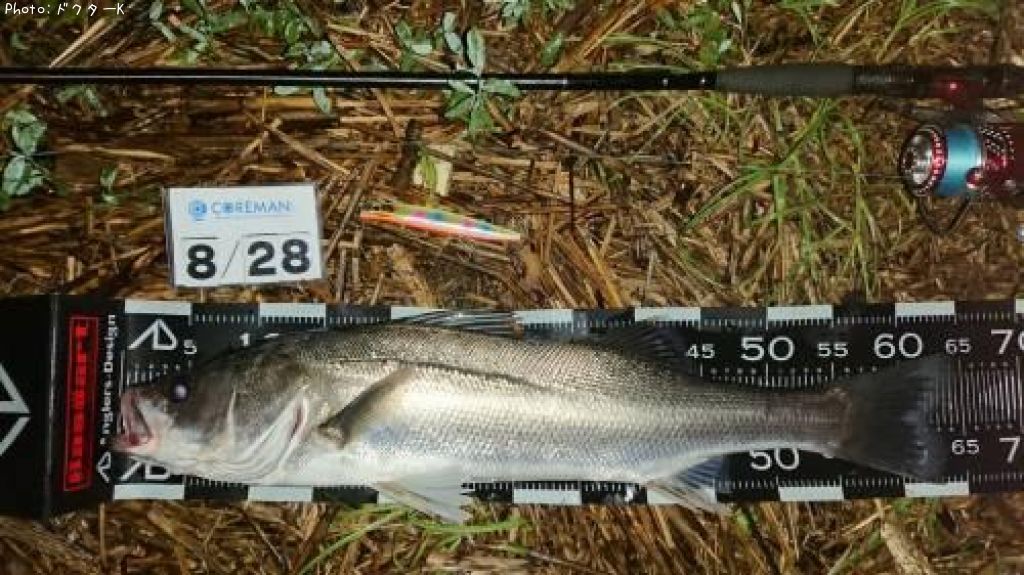 �����Х�