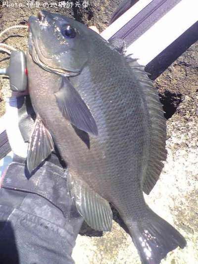 �����᥸��