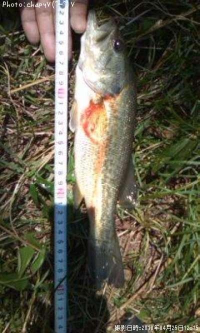 �֥�å��Х�