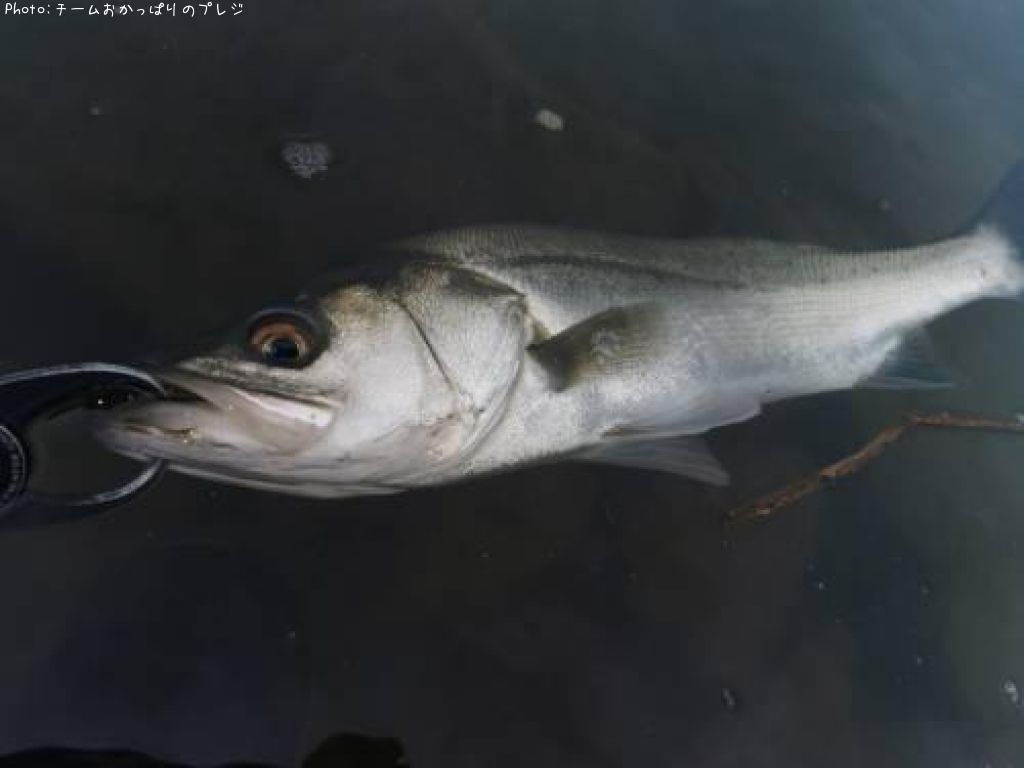 �����Х�