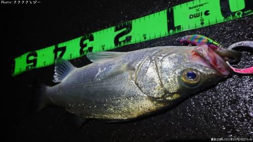 �����Х�