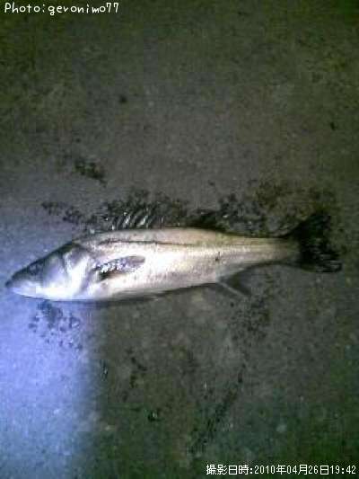 �����Х�