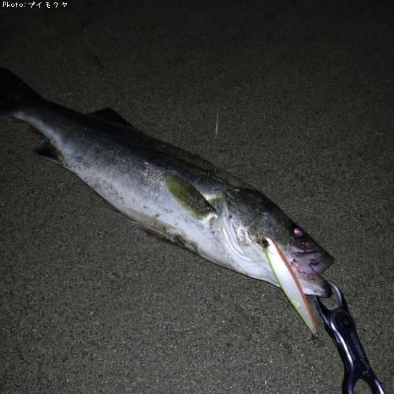 �����Х�