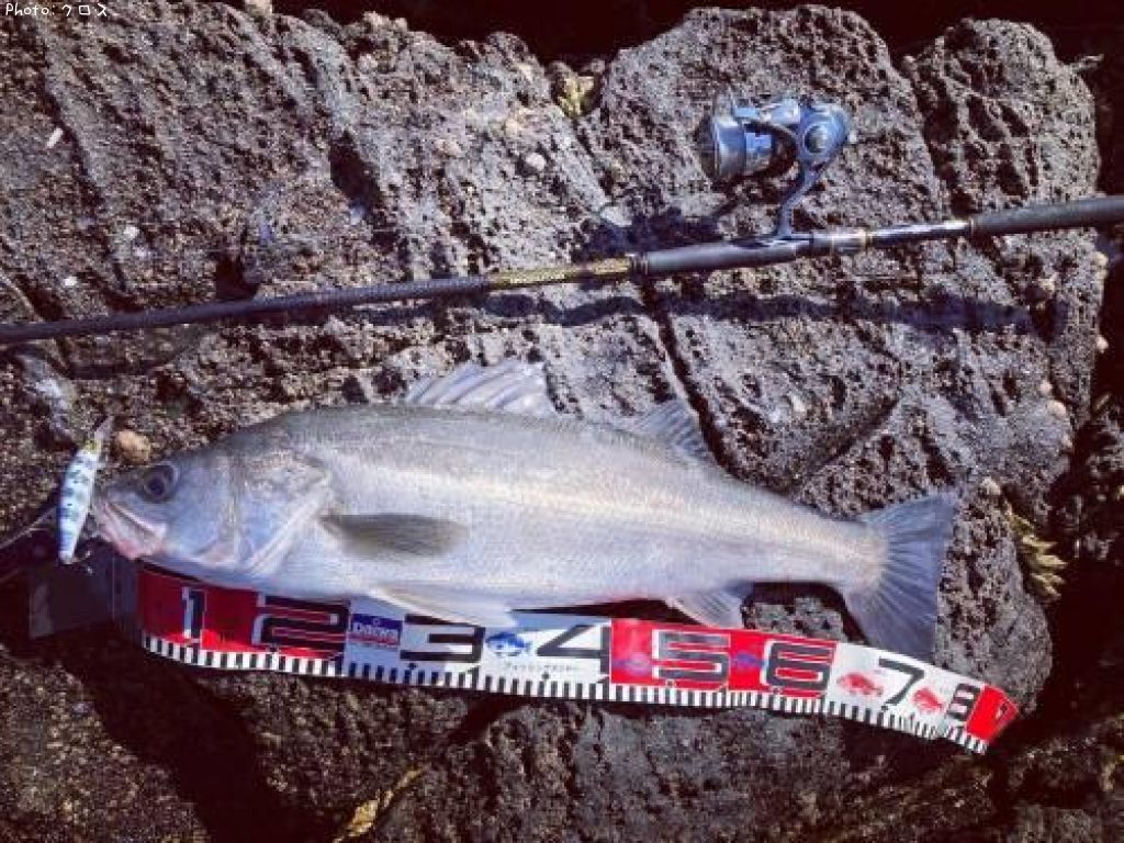 �����Х�