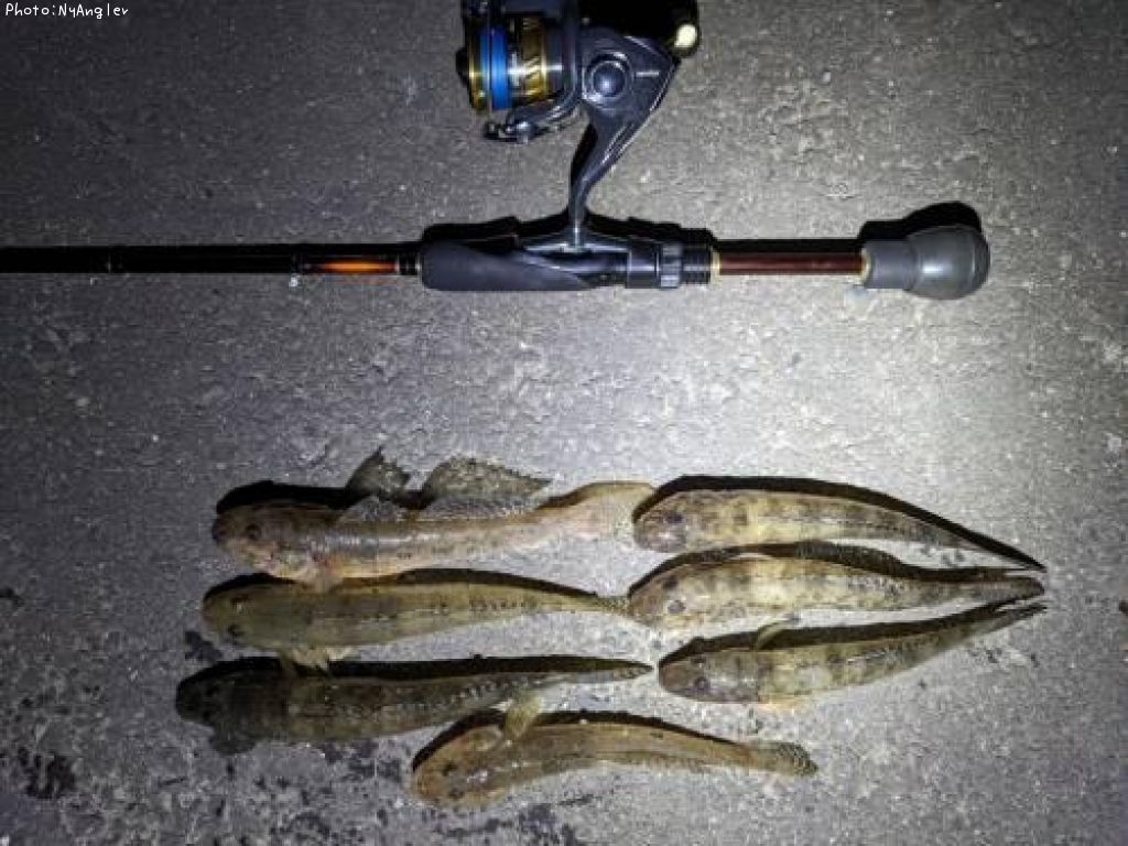 �ϥ�