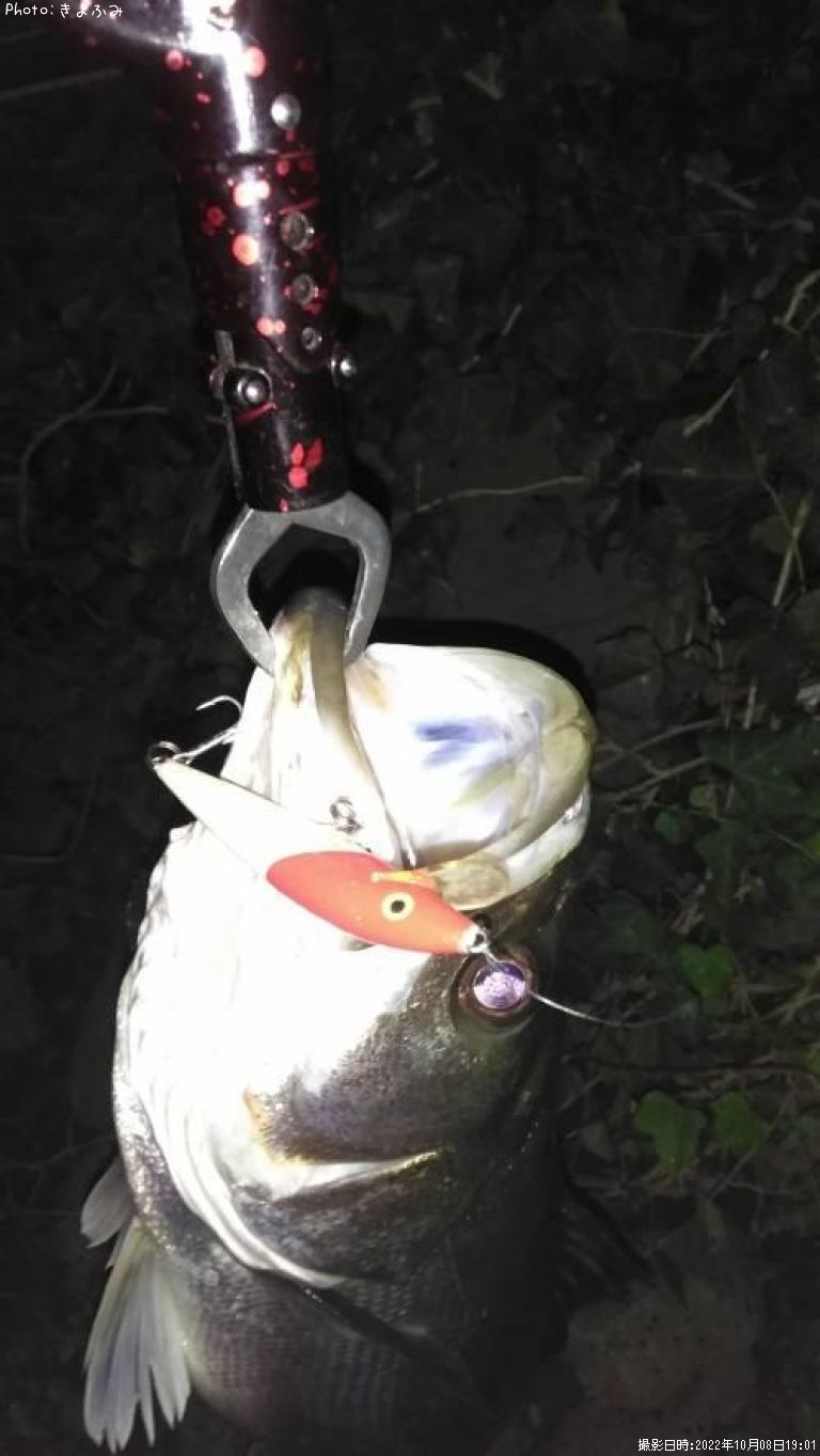 �����Х�