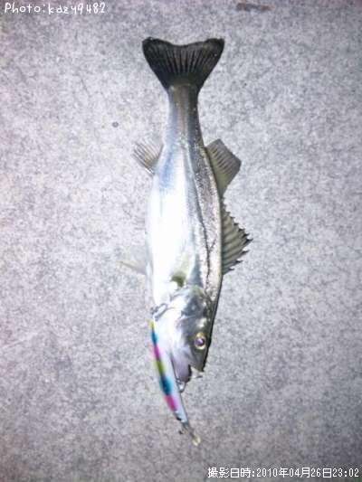 �����Х�