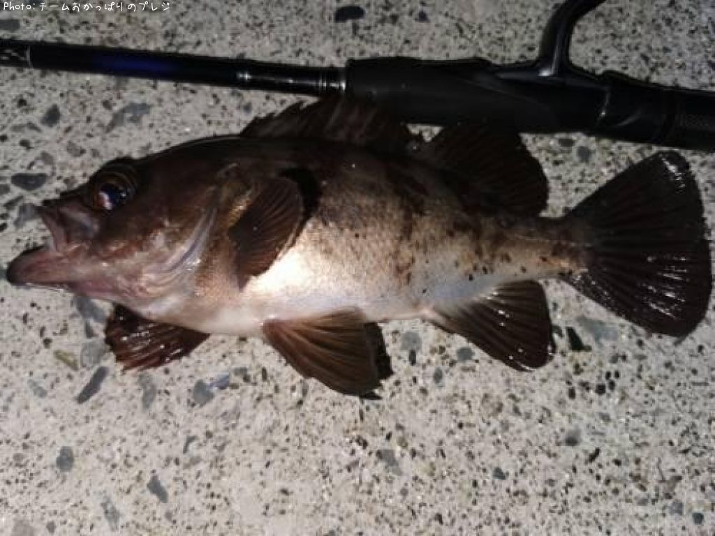 ��Х�