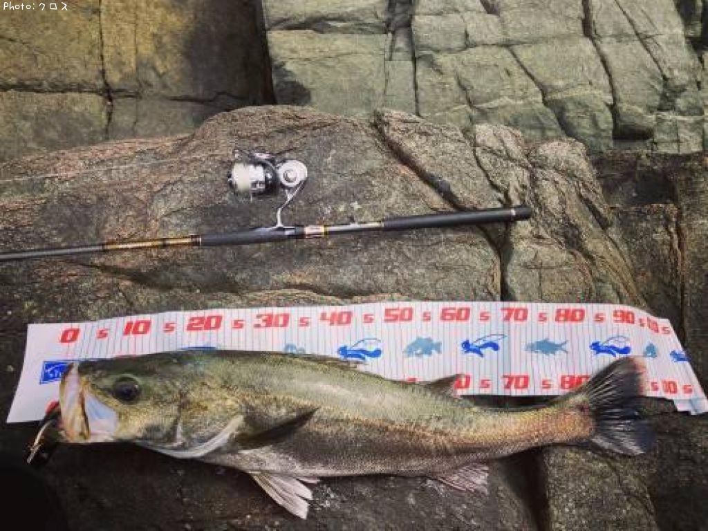 �����Х�