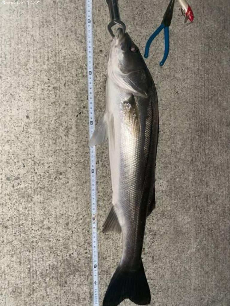 �����Х�