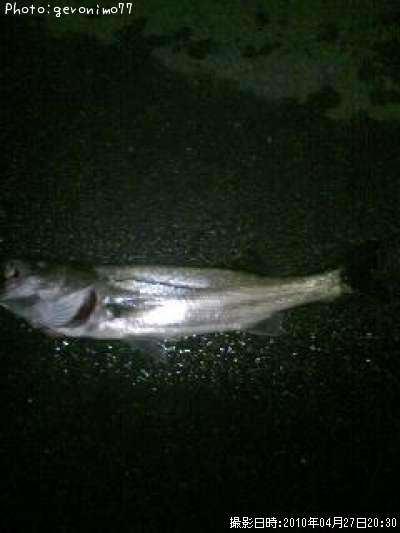 �����Х�