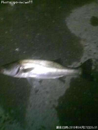 �����Х�