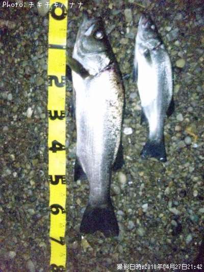 �ҥ饹����