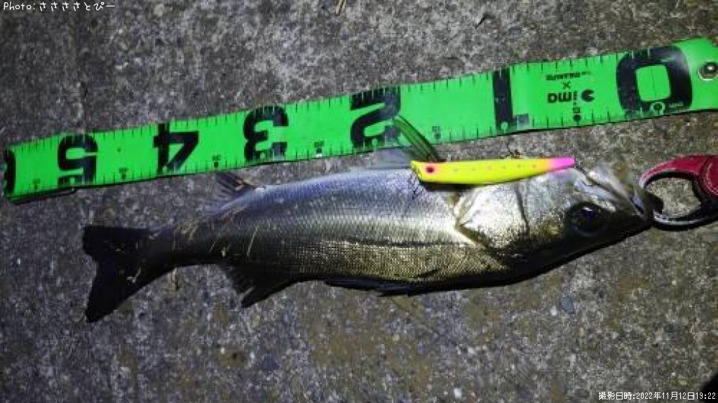 �����Х�