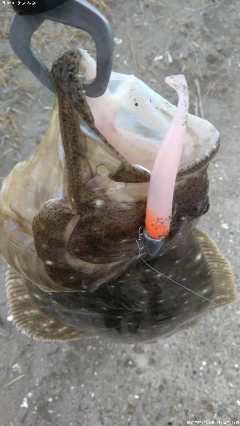 �ҥ��