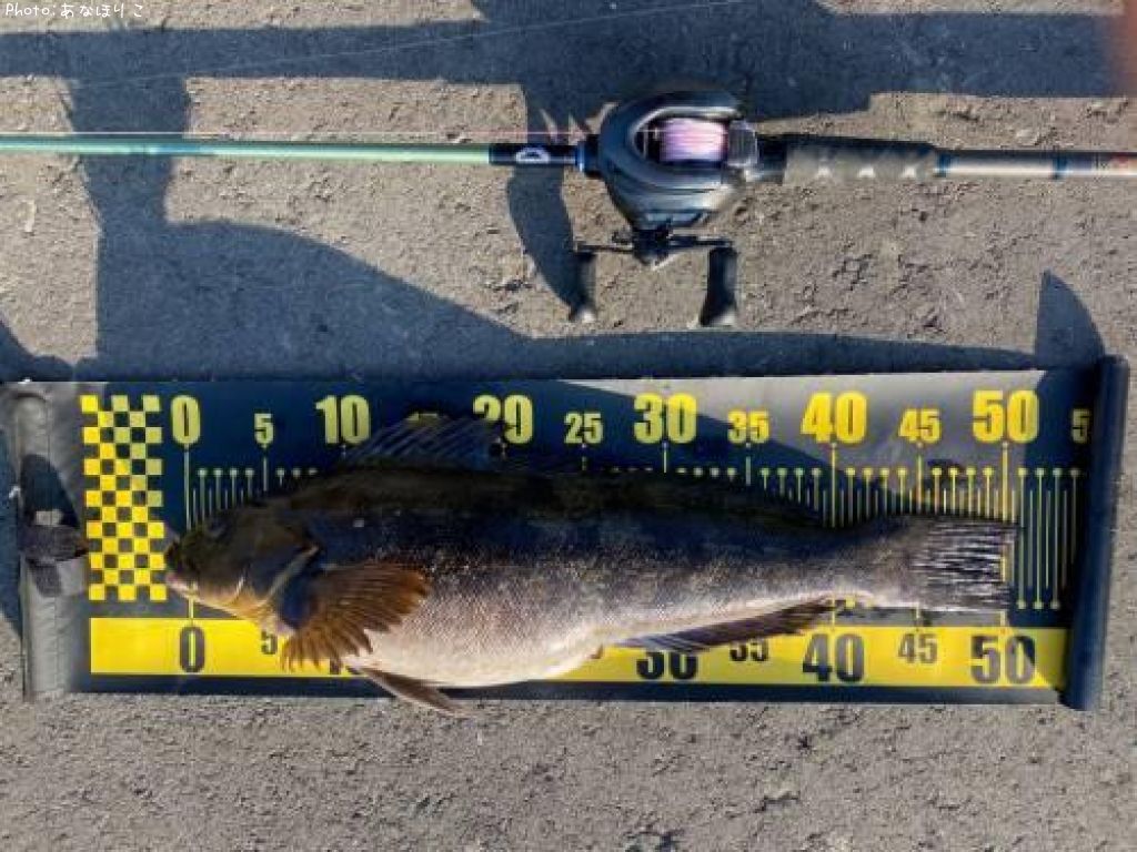 �����ʥ�