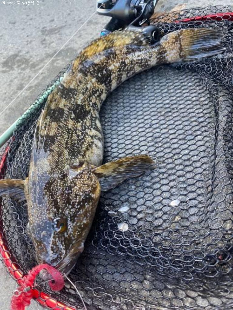 �����ʥ�