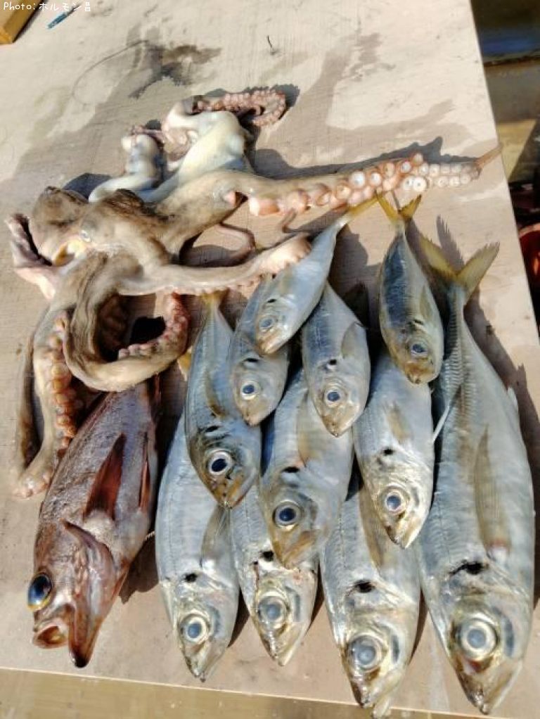 ��������Х롢����