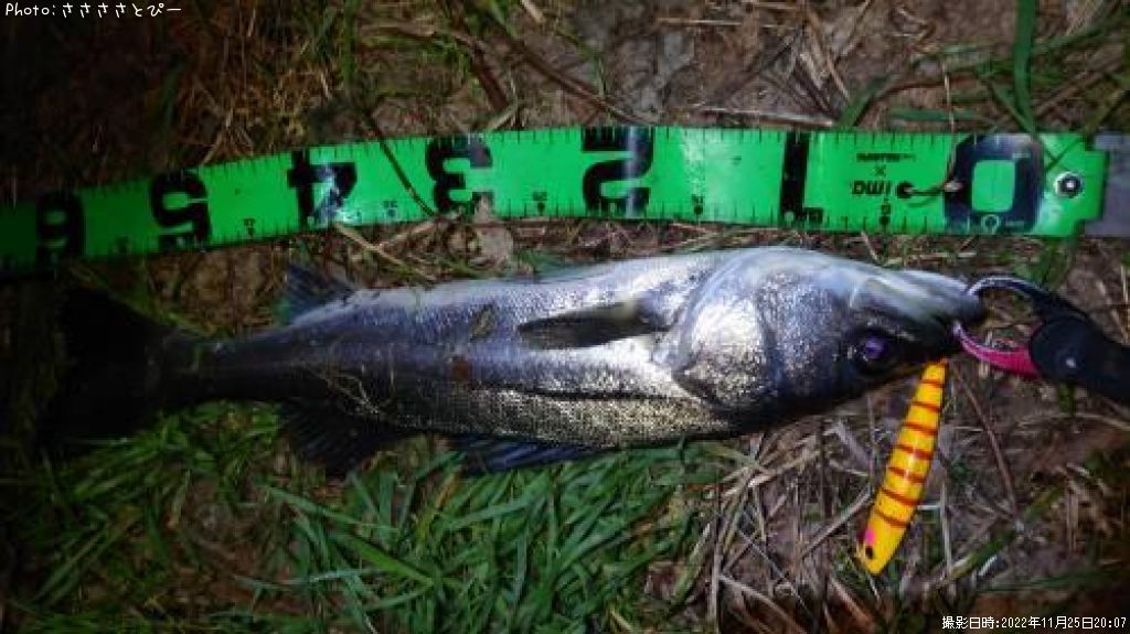 �����Х�