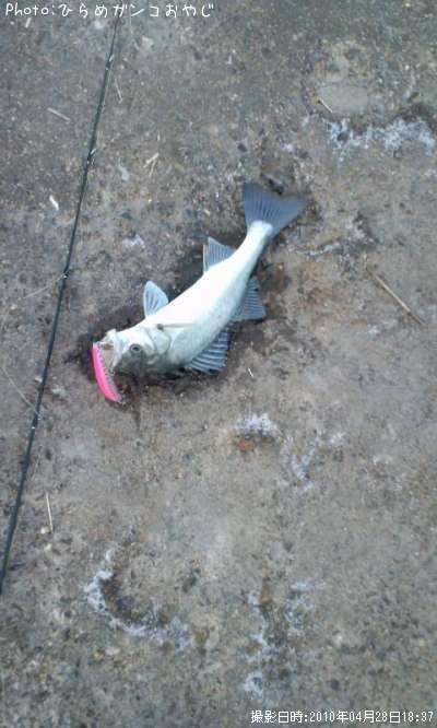 �����Х�