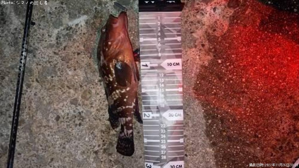 �����ϥ�