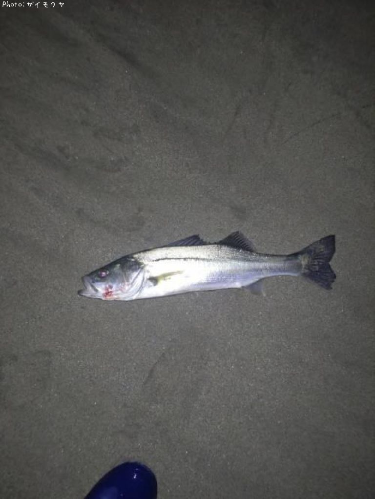 �����Х�