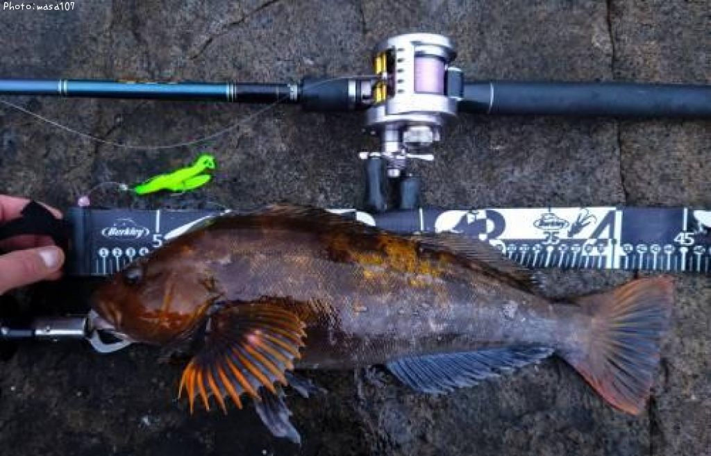 �����ʥ�