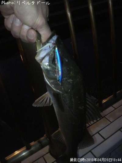 �����Х�