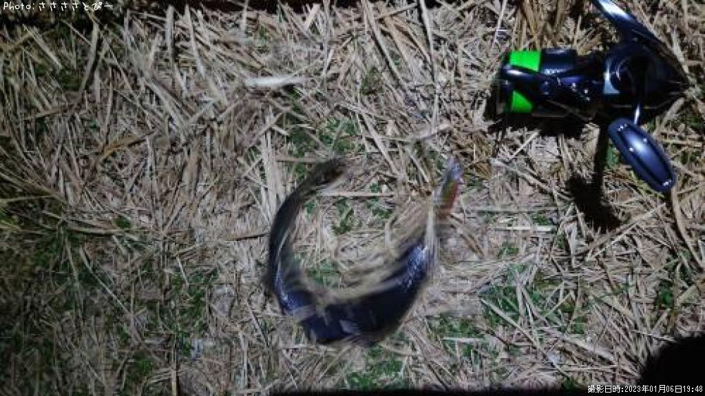 �����Х�