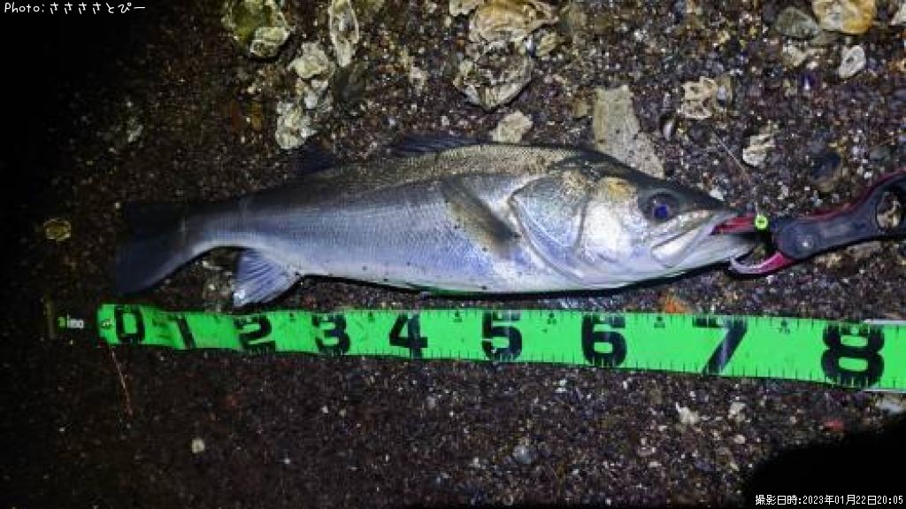 �����Х�