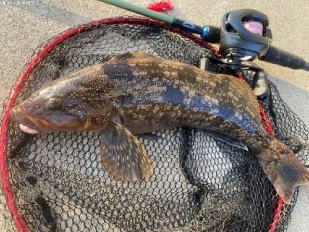 �����ʥ�