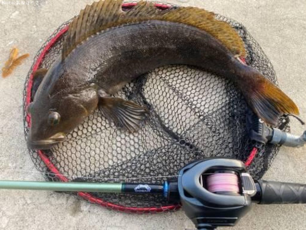 �����ʥ�