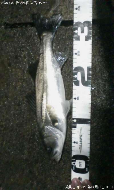 �����Х�