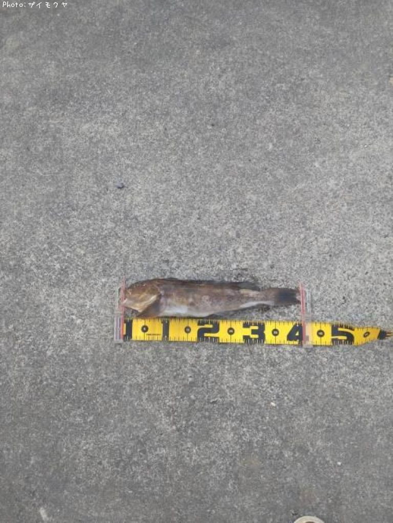 �����ʥ�