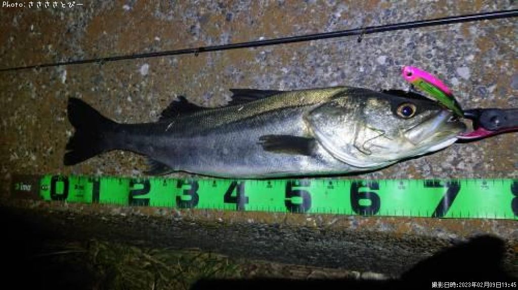 �����Х�