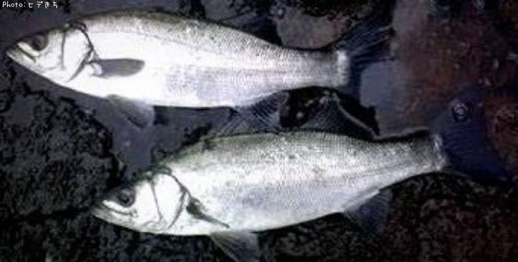 �ҥ饹����