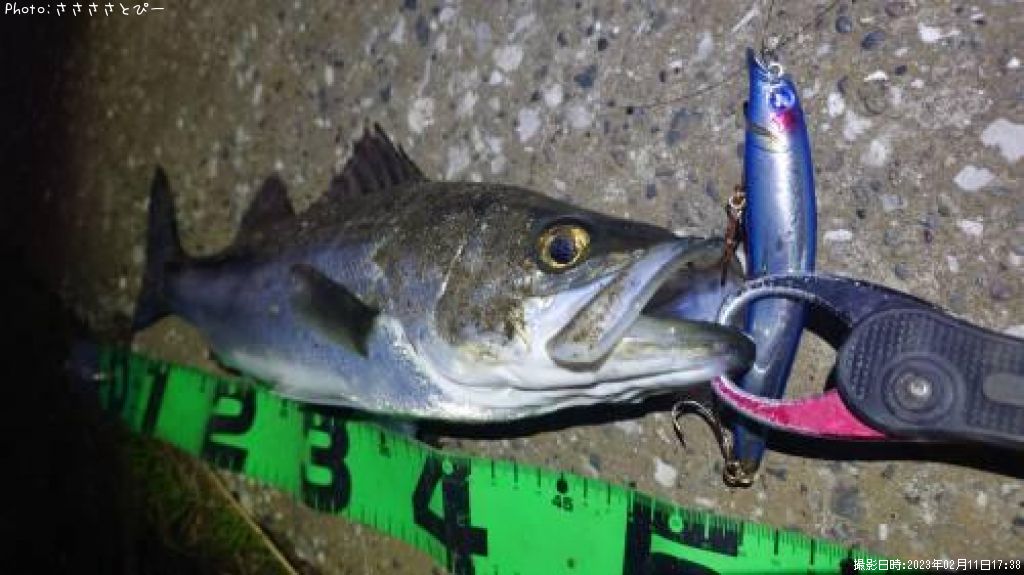 �����Х�